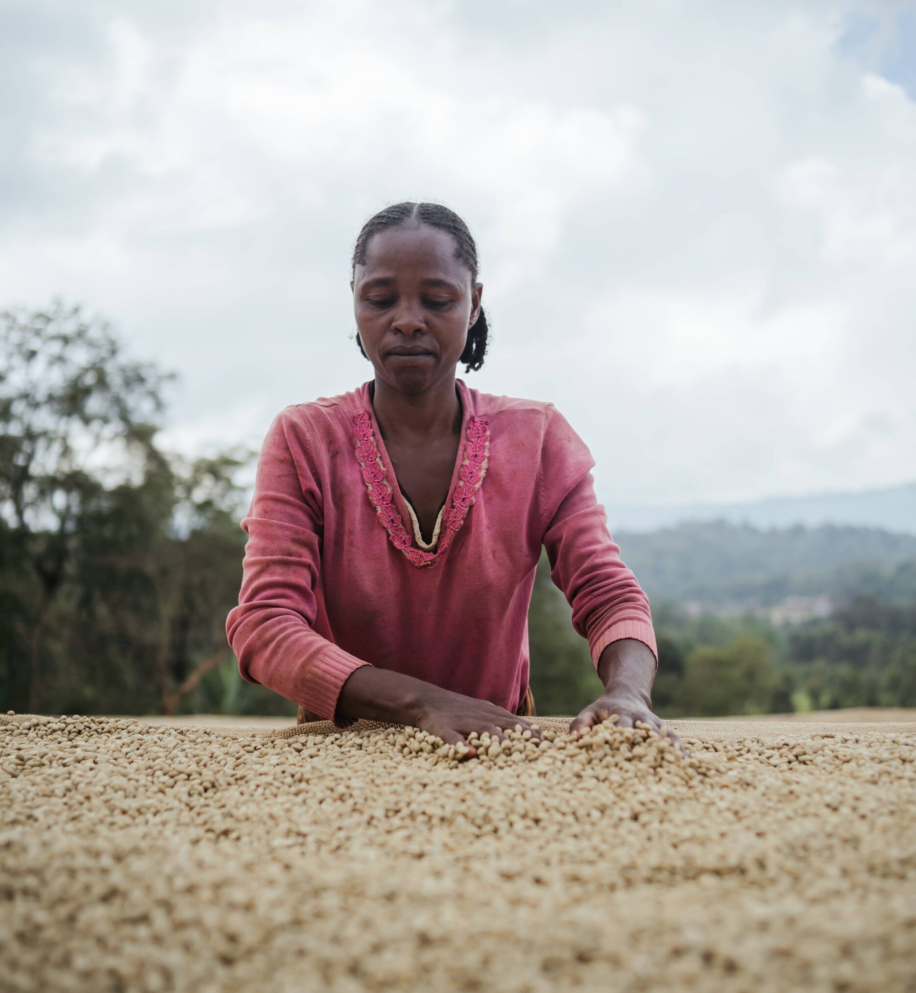 Ministerie van Buitelandse Zaken – De Nederlandse Impact in Ethiopië